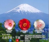 20180921161313444_0001-212x300