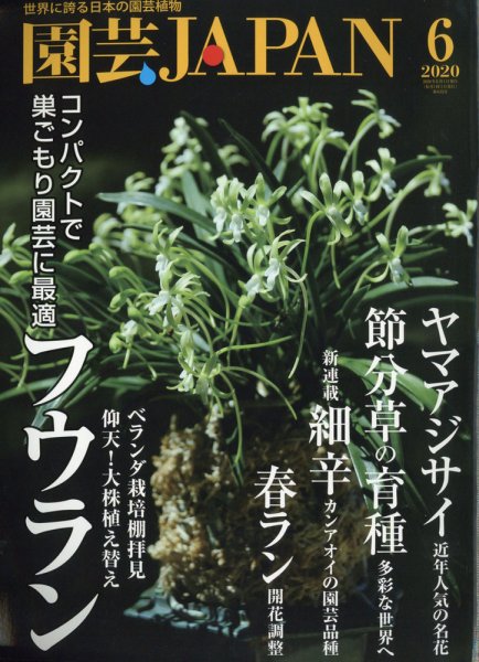 園芸japan 6月号に掲載されました 日本ツバキ協会