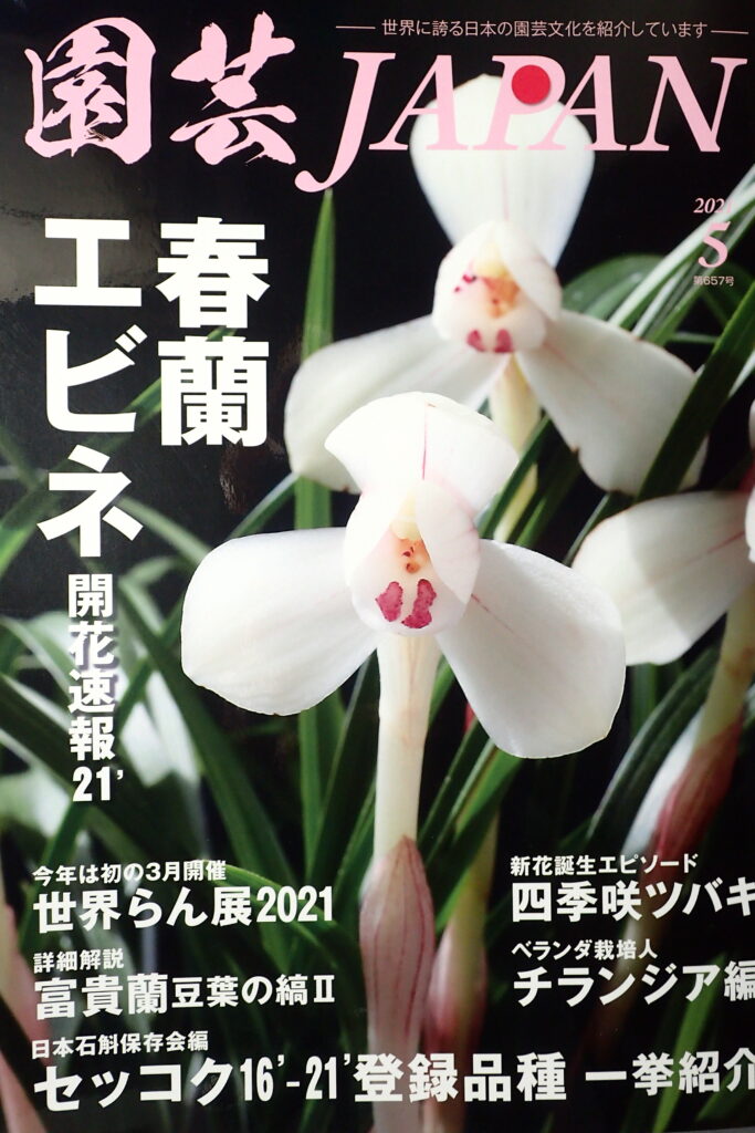 園芸japan 5月 6月号記事 日本ツバキ協会