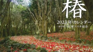 現代椿集　日本ツバキ協会編 現代椿集日本ツバキ協会編
