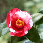 義司 Yoshitsukasa 高野 末男